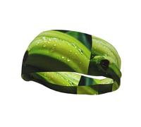 Phayah Canna Or Indian Shot Bandeau de sport anti-humidité pour homme et femme Pour la course à pied, le cyclisme, le yoga, le fitness