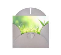 PHAYAH Cao Bang, Lot de 10 cartes de vacances motif Vietnam avec enveloppes grises pour anniversaires de mariage et invitations de fête