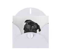 PHAYAH Cartes de vœux vierges avec enveloppes - Motif carlin noir - 10,2 x 15,2 cm - Pour Noël, vacances, anniversaire, remise de diplôme - Blanc
