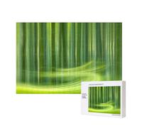 Phayah Casse-tête halo de forêt de bambou pour adultes - 300 pièces - Décoration d'intérieur, fête d'anniversaire pour homme et femme - 15,7 x 27,9 cm