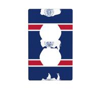 Phayah Couvercle de prise de courant décoratif avec motif drapeau de l'État du Wyoming - Plaque d'interrupteur double