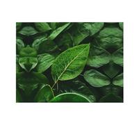 PHAYAH Couverture polaire douce en flanelle à motif nature verte 101,6 x 76,2 cm, couverture chaude pour toutes les saisons pour literie, canapé et voyage