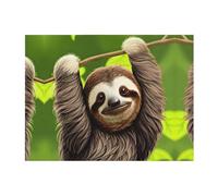 PHAYAH Couverture polaire douce en flanelle avec motif paresseux mignon - 152,4 x 127 cm - Pour toutes les saisons - Couverture chaude pour literie, canapé et voyage