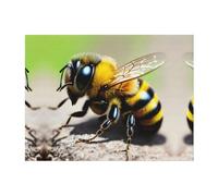 PHAYAH Couverture polaire douce en flanelle avec motif petite abeille, 152,4 x 127 cm, pour toutes les saisons, pour literie, canapé et voyage