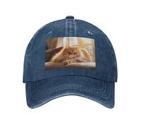PHAYAH Dazed Kitty Chapeau de cowboy unisexe adulte en coton à bord incurvé Casquette de baseball Sport Denim Chapeau de soleil Noir