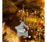 Phayah Décoration de sapin de Noël en céramique en forme d'étoile - Motif renard et écureuil - Ski nautique - Souvenirs de la maison pour les rassemblements