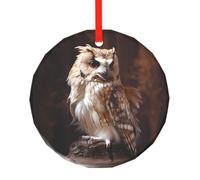 Phayah Décoration de sapin de Noël en forme de hibou en colère - Décoration ronde en verre - Convient pour le Nouvel An, la maison pour les rassemblements