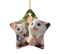 Phayah Décoration de sapin de Noël en forme d'étoile en céramique avec motif de rats pour le Nouvel An, la maison, les rassemblements