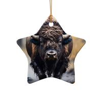 Phayah Décoration de sapin de Noël motif bison nord-américain en forme d'étoile en céramique adaptée pour le Nouvel An, la maison pour les rassemblements