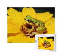 Phayah Frog in The Pistil Puzzles pour adultes 500 pièces Jouets de développement de l'intelligence des enfants 20,4 x 38,1 cm