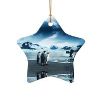Phayah Jolis pingouins prenant des photos en céramique en forme d'étoile pour sapin de Noël, Nouvel An, maison, souvenirs pour rassemblements, décoration à suspendre