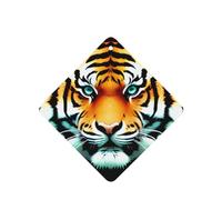Phayah Little Fat Lot de 6 désodorisants carrés à suspendre pour voiture, placard, tiroir Motif tête de tigre Parfum lavande
