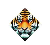 Phayah Little Fat Tiger Head Lot de 4 désodorisants carrés à suspendre pour voiture, placard, tiroir
