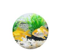 Phayah Little Goldfish Lot de 4 désodorisants pour voiture Parfum lavande Forme ronde à suspendre Carte parfumée à suspendre pour voiture, placard, tiroir