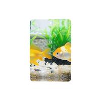 Phayah Little Goldfish Lot de 4 désodorisants rectangulaires à suspendre pour voiture, placard, tiroir