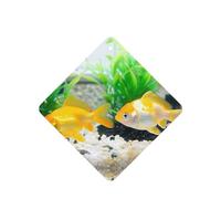 Phayah Little Goldfish Lot de 6 désodorisants de voiture parfumés à suspendre au parfum de lavande pour voiture, placard, tiroir
