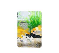 Phayah Little Goldfish Lot de 6 désodorisants rectangulaires à suspendre pour voiture, placard, tiroir