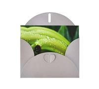 PHAYAH Lot de 10 cartes de vacances Canna or Indian Shot avec enveloppes grises pour anniversaires de mariage et invitations de fête