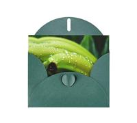PHAYAH Lot de 10 cartes de vacances Canna or Indian Shot avec enveloppes vert foncé, idéales pour les anniversaires de mariage et les invitations à une fête