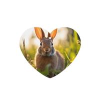 Phayah Lot de 4 désodorisants à suspendre en forme de cœur avec motif lapin dans l'herbe Parfum lavande