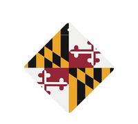 Phayah Lot de 4 désodorisants carrés à suspendre pour voiture Motif drapeau du Maryland Parfum lavande