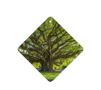 Phayah Lot de 4 désodorisants carrés pour voiture, motif arbre primitif, tablettes d'aromathérapie à suspendre, parfum lavande
