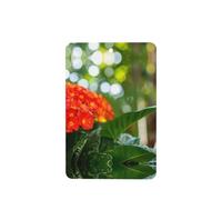 Phayah Lot de 4 désodorisants de voiture à suspendre Motif fleurs de lavande Parfum longue durée