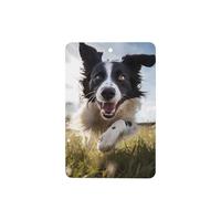 Phayah Lot de 4 désodorisants rectangulaires à suspendre avec motif Border Collie pour voiture Parfum lavande