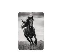 Phayah Lot de 4 désodorisants rectangulaires à suspendre pour voiture, placard, tiroir - Motif étalon noir - Parfum lavande