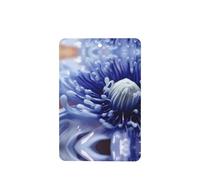Phayah Lot de 4 désodorisants rectangulaires à suspendre pour voiture, placard, tiroir, motif fleur d'anémone bleue, parfum lavande