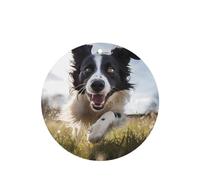 Phayah Lot de 4 désodorisants ronds à suspendre pour voiture Motif Border Collie Parfum lavande