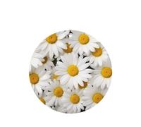 Phayah Lot de 4 désodorisants ronds pour voiture, motif marguerite, parfum lavande