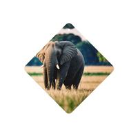 Phayah Lot de 6 désodorisants carrés à suspendre Motif éléphant dans la prairie Parfum lavande