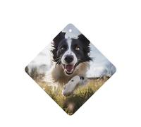 Phayah Lot de 6 désodorisants carrés à suspendre pour voiture Motif Border Collie Parfum lavande