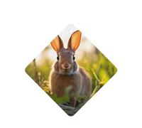 Phayah Lot de 6 désodorisants carrés à suspendre pour voiture Motif lapin dans l'herbe Parfum lavande