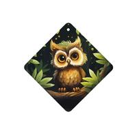 Phayah Lot de 6 désodorisants carrés à suspendre pour voiture, placard, tiroir - Motif chouette aux grands yeux - Parfum lavande