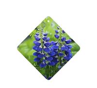 Phayah Lot de 6 désodorisants carrés pour voiture, motif fleur d'orchidée, tablettes d'aromathérapie à suspendre, parfum lavande
