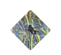 Phayah Lot de 6 désodorisants carrés pour voiture, motif libellule noire sur l'herbe, tablettes d'aromathérapie à suspendre, parfum lavande