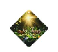 Phayah Lot de 6 désodorisants de voiture à suspendre Motif fauve de forêt Parfum lavande Longue durée