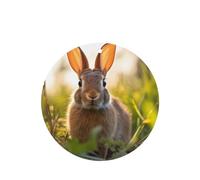 Phayah Lot de 6 désodorisants de voiture en forme de lapin dans l'herbe Parfum lavande Forme ronde à suspendre