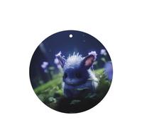 Phayah Lot de 6 désodorisants de voiture en forme de lapin de jade au clair de lune - Parfum lavande - Forme ronde - À suspendre - Pour voiture, placard, tiroir