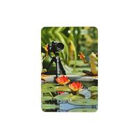 Phayah Lot de 6 désodorisants rectangulaires à suspendre pour voiture Motif deux grenouilles prenant des photos Parfum lavande