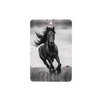 Phayah Lot de 6 désodorisants rectangulaires à suspendre pour voiture, placard, tiroir - Motif étalon noir - Parfum lavande