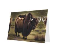 PHAYAH Mighty Highland Yak Lot de 10 feuilles de cartes de vacances Rose enveloppes pour anniversaire de mariage et fête