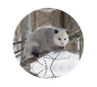 PHAYAH Opossum In Snow Tapis de souris rond en caoutchouc antidérapant durable et confortable pour le bureau, les jeux et l'apprentissage 8 en 1