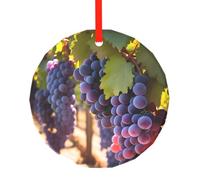 Phayah Ornements de sapin de Noël à motif raisins du désert pour décoration de Noël en verre à suspendre