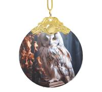Phayah Pendentif rond en verre avec motif hiboux de la sagesse pour sapin de Noël, décoration d'intérieur, rassemblements, boucle en métal doré