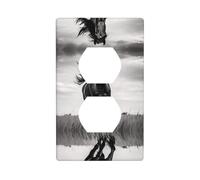 Phayah Plaque d'interrupteur double avec motif étalon noir