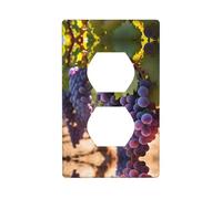 Phayah Plaque murale double en polycarbonate thermoplastique avec motif raisins du désert