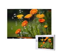 Phayah Puzzle chrysanthèmes sauvages pour adultes de 1000 pièces. Décoration d'intérieur, fête d'anniversaire pour hommes et femmes, 75 x 50 cm